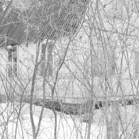 Мечты о ч/б Лейке 82. :: Михаил Елочкин