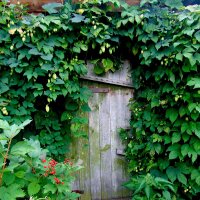 Сим-Сим,откройся ! :: nadyasilyuk Вознюк