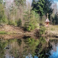 Весна в Лен области :: Владимир Колесников