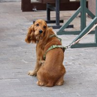 Я оглянулся посмотреть не оглянулась ли она, чтоб посмотреть не оглянулся ли я. :: Elias69 Я оглянулся посмотреть не оглянулась ли она, чтоб посмотреть не оглянулся ли я. :: Elias69