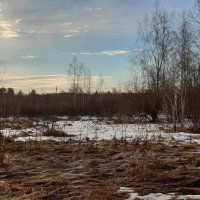 Весна :: Галина Минчук