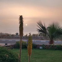 Вечерело :: Ирэн 