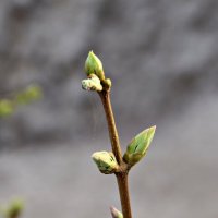 *** :: Павленко Михаил 