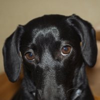 не виновата я :: Александр Александр