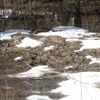 Еще в полях белеет снег :: олег свирский 