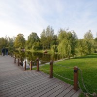 в уютном лесопарке :: Галина R...