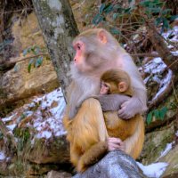 сидят и не шевелятся :: Георгий А