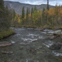 На быстрине.............. :: Юрий Цыплятников