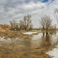 Океан весенних луж. :: Николай Океан весенних луж. :: Николай