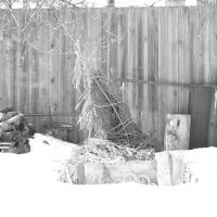 Мечты о ч/б Леке 83. :: Михаил Елочкин