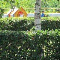 июль :: Елена Шаламова