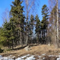 Прекрасный мартовский денек! :: Ольга 