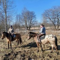 На прогулке. :: Ольга 