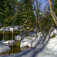 Начало марта :: Сергей Цветков
