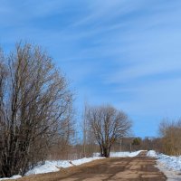 Весна! :: Анастасия Логинова