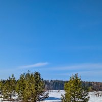 Чудесный день :: Анастасия Логинова