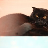 Маруся :: Вячеслав Дроздов