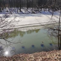 Весна в Царицыно :: Игорь Ч.