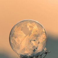 На закате... :: Андрей Пристяжнюк