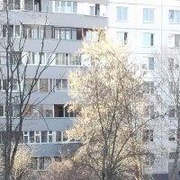 Весна пришла :: Дмитрий Никитин