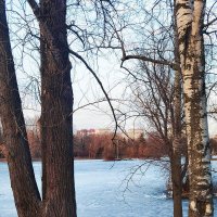 Весенние зарисовки в парке Победы. :: Лилия *