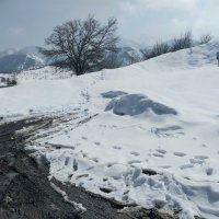 Ак Булак. Талгар. :: Murat Bukaev 