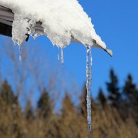 Весенняя капель. :: Маргарита ( Марта ) Дрожжина