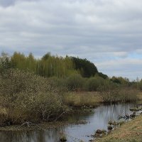 Что-то весеннее, влажно-воздушное :: Ирина Кустова Что-то весеннее, влажно-воздушное :: Ирина Кустова