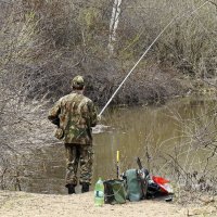 Тихо, не шуметь! :: Валерий Судачок