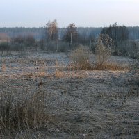 Первым лучом по апрельскому заморозку :: Ирина Кустова