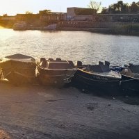 Лайбы Каспия :: Andy Лайбы Каспия :: Andy