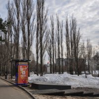 Последний снег :: Татьяна Машошина