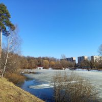 Март уходящий :: Андрей Лукьянов