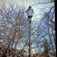 Фонарь :: Veera V