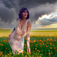 Вечер над полем :: Valziwa 