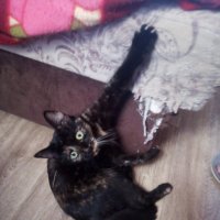 Принцэса :: Сергей Кочнев