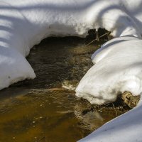 Журчат ручьи :: Сергей Цветков Журчат ручьи :: Сергей Цветков