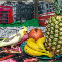 Завтрак Кореллы :: Андрей Божков