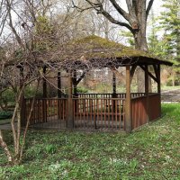 Март, ландшафтный парк, Калининград :: Рита Симонова