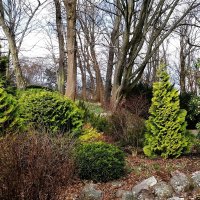 Март, ландшафтный парк, Калининград :: Рита Симонова