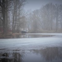 **** :: Елизавета .