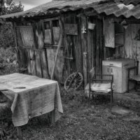 С комфортом :: Владимир Гришин