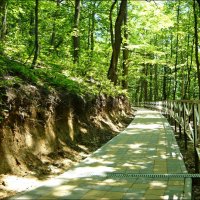 Дорога к Святому Источнику! :: Надежда 