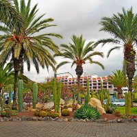 Весна в Лос Кристианос. :: Лия ☼