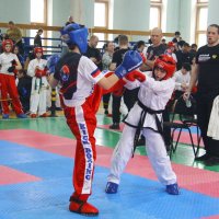 Кикбоксинг против тхэквондо :: Владимир Насыпаный Кикбоксинг против тхэквондо :: Владимир Насыпаный