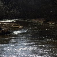 Яуза разливается :: Наталья Вязигина