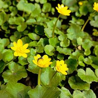 ,,, :: Сергей Тимоновский