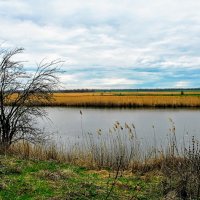 Весна. :: Владимир 