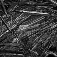 *** :: Вадим Вайс *** :: Вадим Вайс