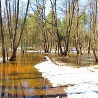 Наполняются реки водой :: Андрей Снегерёв
